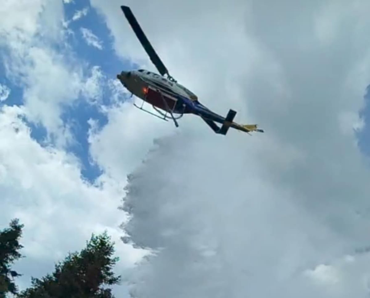 Καρδίτσα: Δασική πυρκαγιά