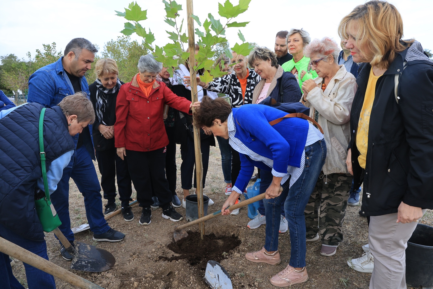 Δήμος Λαρισαίων: Δράση δενδροφύτευσης   αφιερωμένη στην Τρίτη Ηλικία