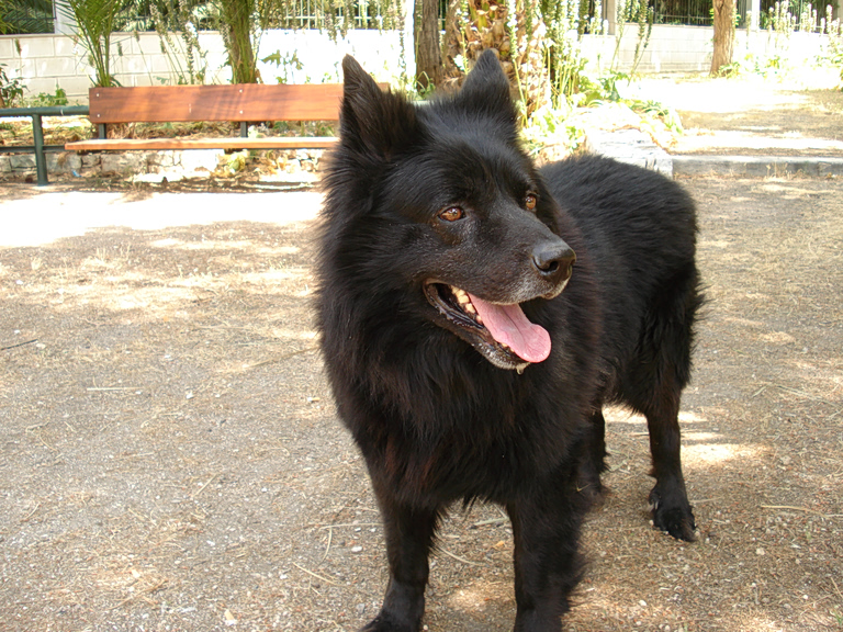 Γερμανία: Με GPS ελεύθερος ο