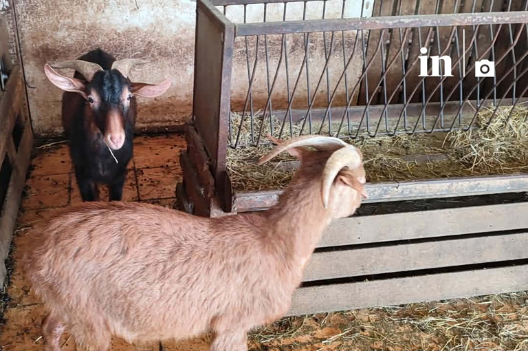 Αμπελόκηποι: Τι λέει ο