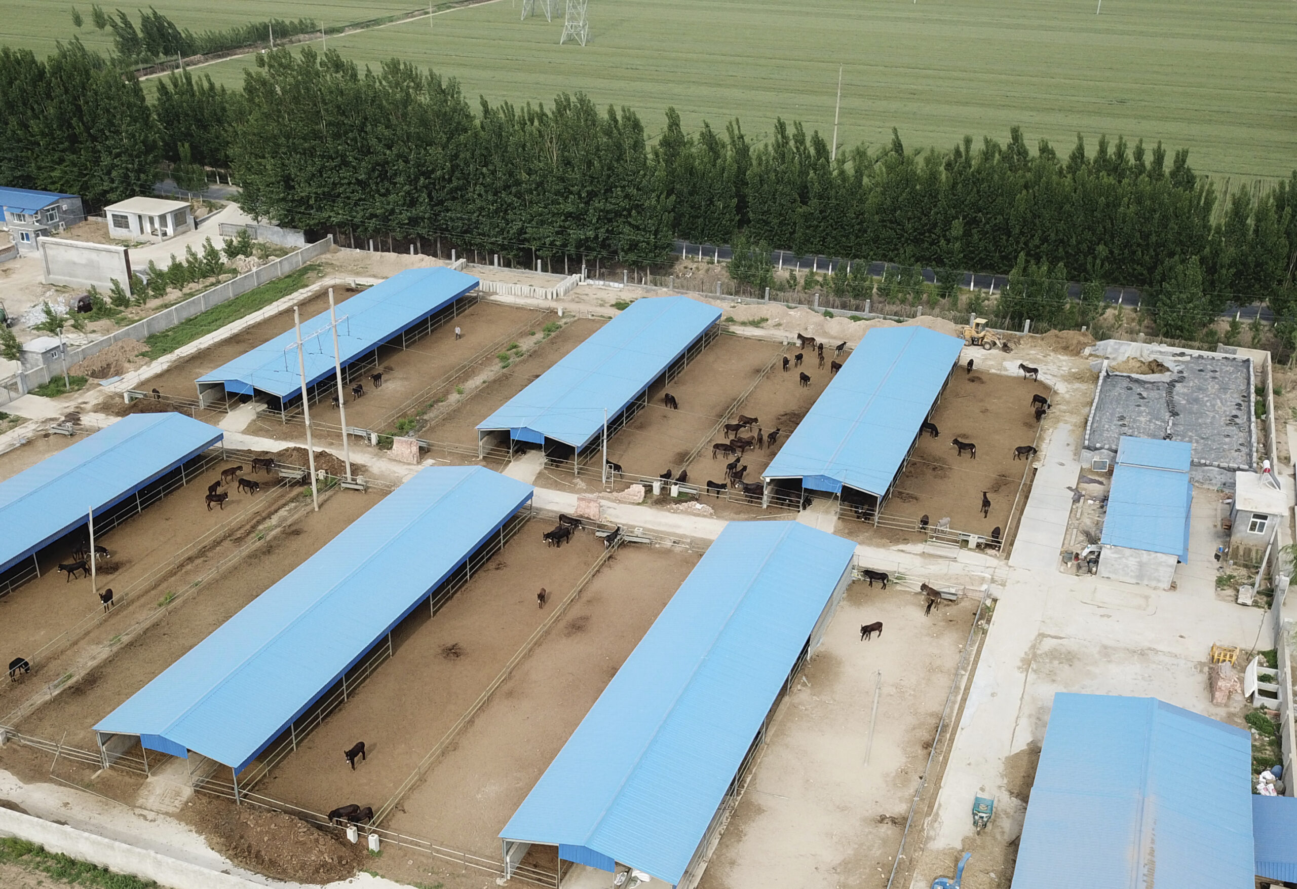 Εκσυγχρονισμό του πλαισίου με τη χρήση droneς στη γεωργία ζητά ο Β. Κόκκαλης