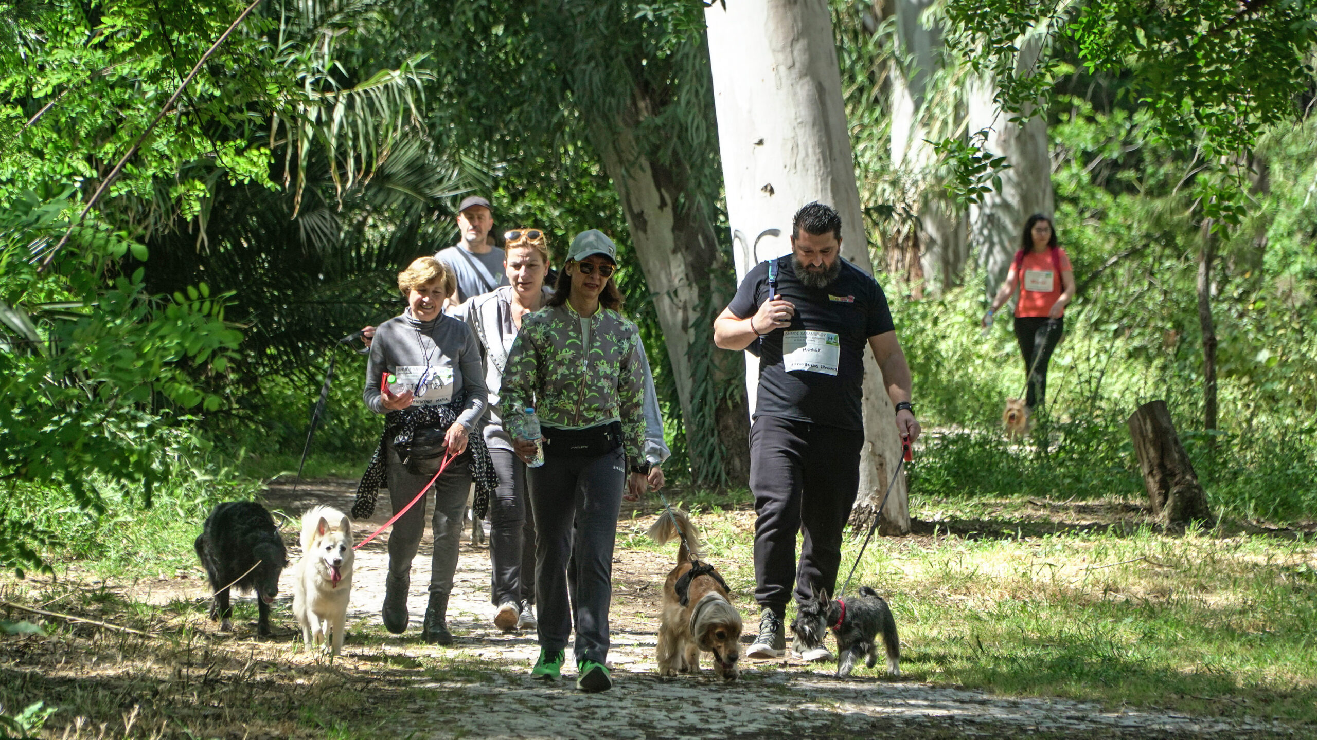 Έρχονται έλεγχοι για την ευζωία των δεσποζόμενων ζώων από τον Δήμο Ελασσόνας