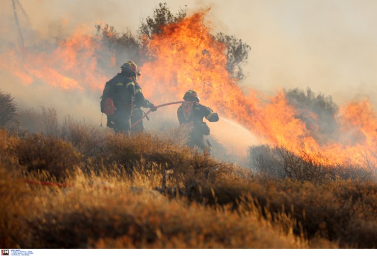Ποινική δίωξη σε ιερέα για την φωτιά στο Μαρκόπουλο  Το πρόστιμο που του επιβλήθηκε