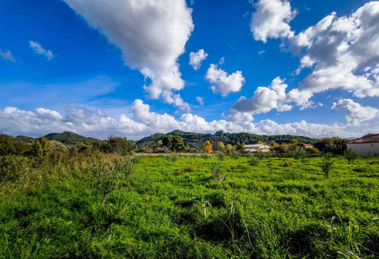 Αίθριος καιρός σε όλη τη
