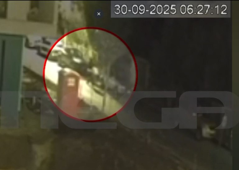 Δροσιά: Καρέ-καρέ η ενέδρα που έστησε ο δράστης στον 38χρονο  Στο μικροσκόπιο των Αρχών βίντεο ντοκουμέντo