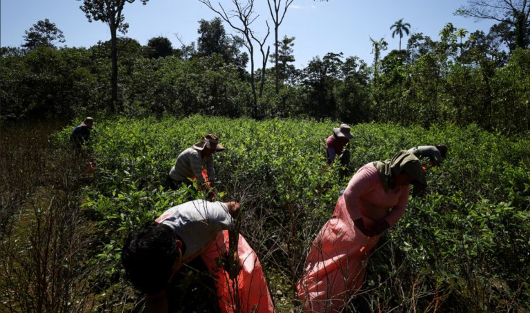 Βολιβία: Αυξήθηκε κατά 10% η