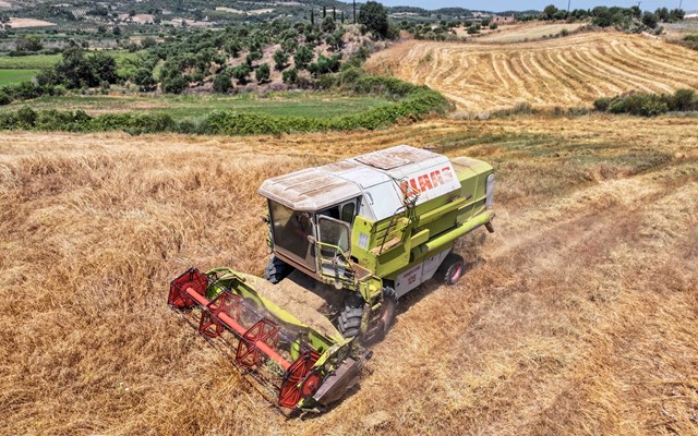 Μικρή αύξηση 1,3% των τιμών εκροών σε Γεωργία  Κτηνοτροφία τον Ιανουάριο