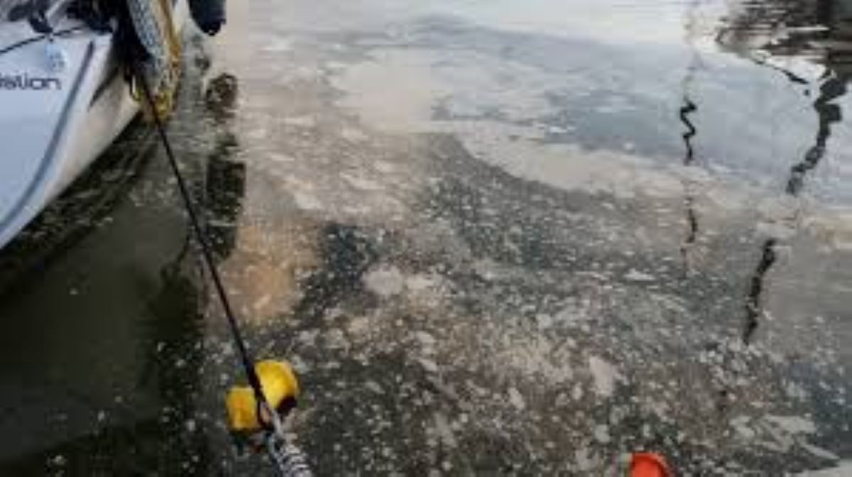 Ν. Παπαπέτρος: Η μήνυση της