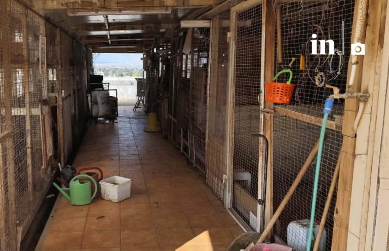 Αμπελόκηποι: Δικογραφία για την παράνομη στάνη στον Πύργο Αθηνών  Η ανακοίνωση της ΕΛ.ΑΣ.  Νέες εικόνες