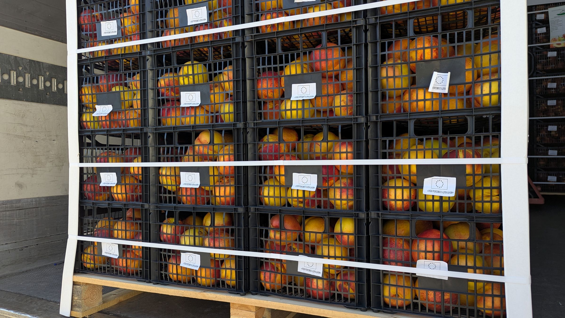 Λάρισα: Διανομή φρούτων σε πολύτεκνες οικογένειες από το Κοινωνικό Παντοπωλείο