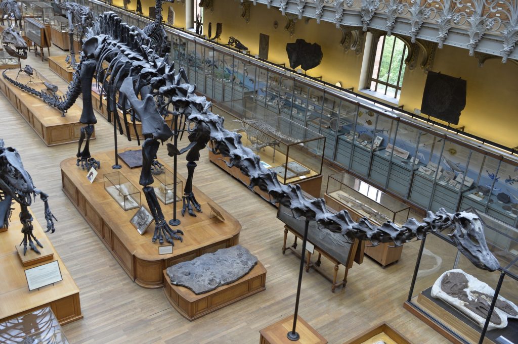 Παρίσι: Κλάπηκε χρυσός αξίας 600.000 ευρώ από το Μουσείο Φυσικής Ιστορίας