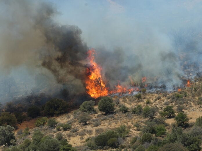 Πήλιο: Φωτιά σε πευκοδάσος