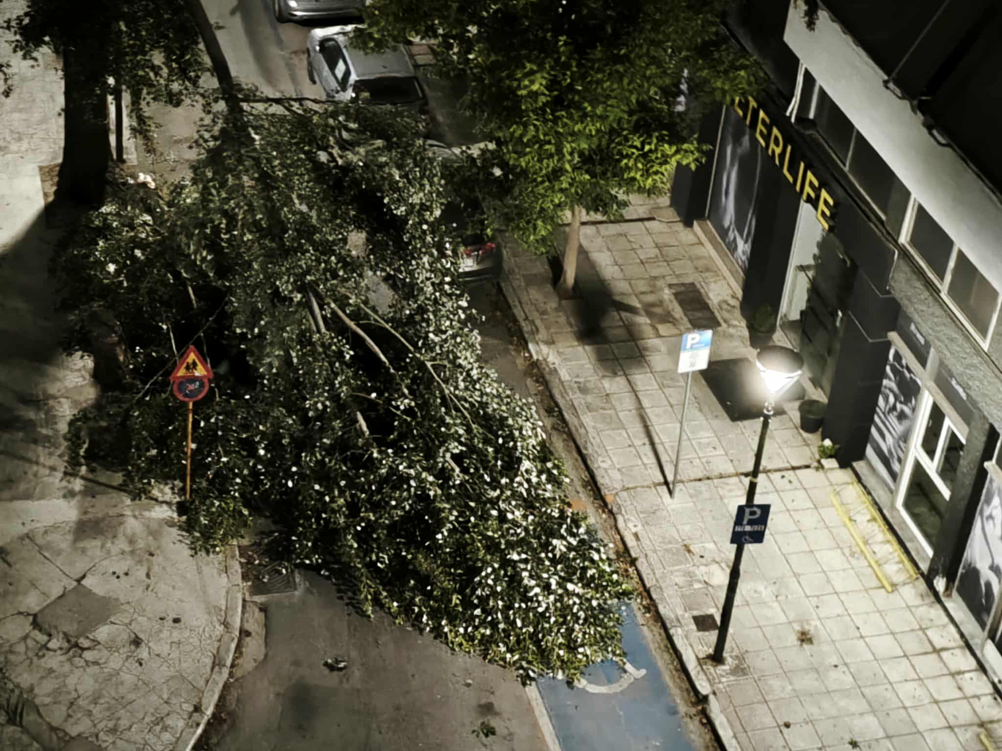 Ισχυροί άνεμοι σαρώνουν τον Βόλο  Ζημιές σε οχήματα, πτώσεις δέντρων και διακοπές ρεύματος