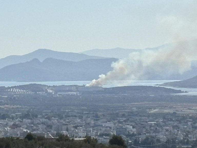 Φωτιά σε δασική έκταση στα Μέγαρα  Επιχειρούν ισχυρές πυροσβεστικές δυνάμεις