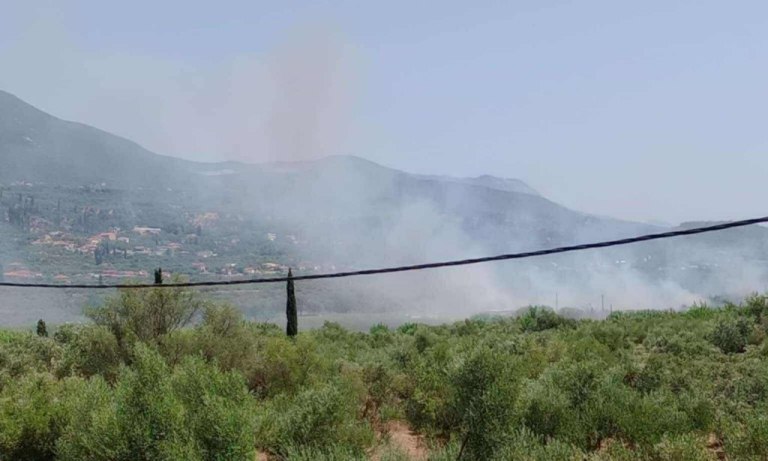 Φωτιά στην Ασπροπουλιά Καλαμάτας