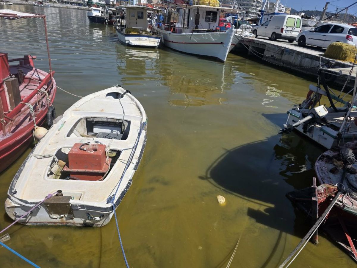 ΚΚΕ: Να αναλάβουν τις