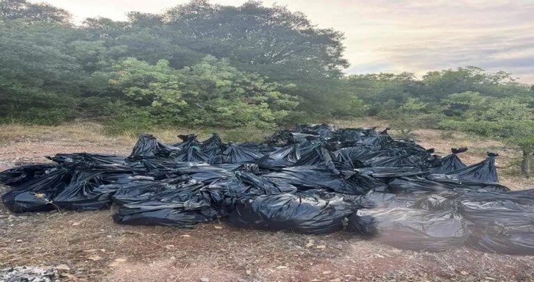 Εξαρθρώθηκε σπείρα ναρκωτικών με κέρδη 8 εκατ. ευρώ  Κατασχέθηκε βαρύς οπλισμός και πάνω από ένας τόνος κάνναβης