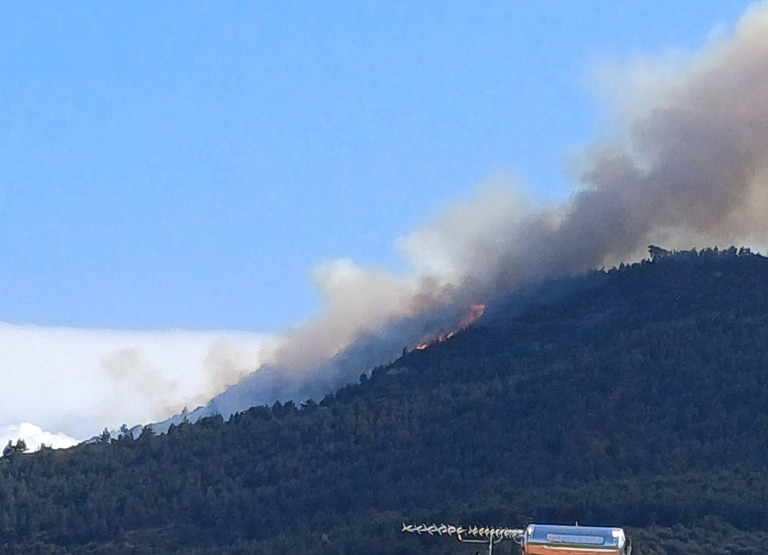 Μεγάλη φωτιά σε δάσος στην