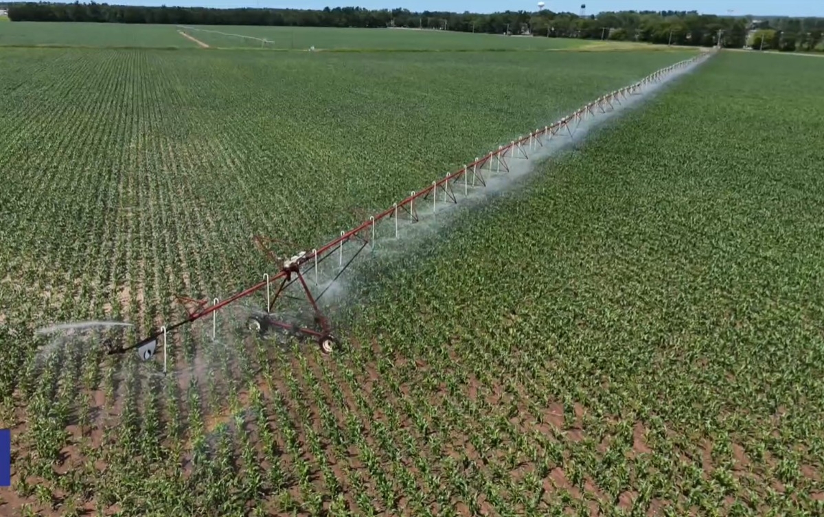 Καταγγελία αγροτών για εξώδικα από τη ΔΕΗ για φετινές καταναλώσεις σε πληγέντες