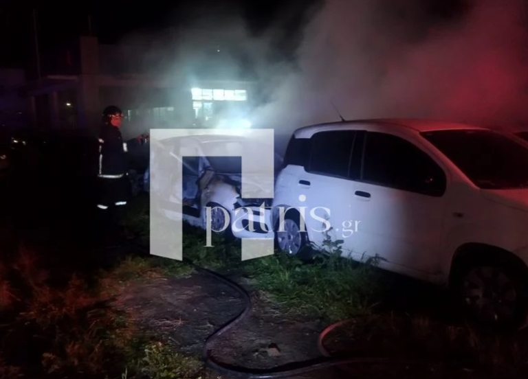 Εμπρησμός σε μάντρα