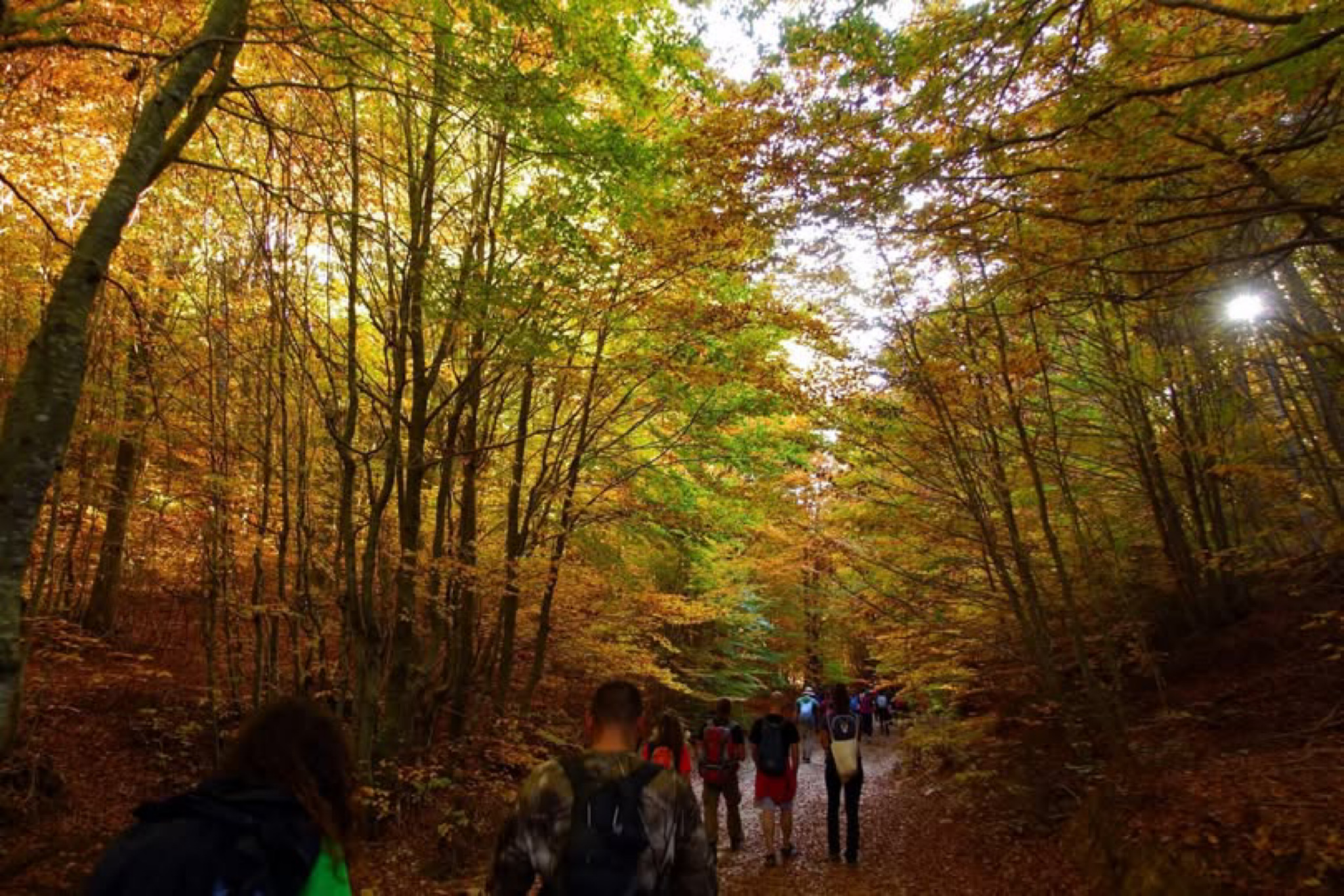 Το 3ο Τριήμερο Υπεράσπισης του Πηλίου στα Κανάλια και την Κερασιά  Πολιτισμός, περιβάλλον και τοπική ταυτότητα στο επίκεντρο