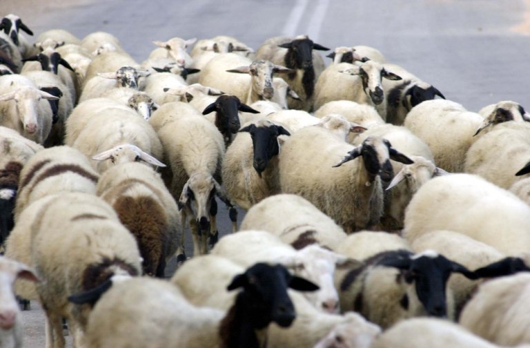 H Εξεταστική της συγκάλυψης και οι δημοσκοπήσεις της αποκάλυψης, οι πολίτες στέλνουν χαμπέρι τέλος η ανοχή και η κάλυψη