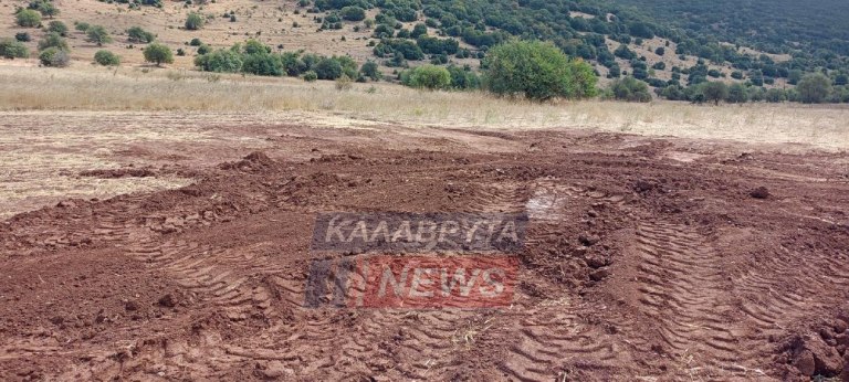 Καλάβρυτα: Θρίλερ με το άγαλμα της θεάς Αρτέμιδος που ήθελε να πουλήσει ο ηγούμενος  Άκαρπες οι έρευνες