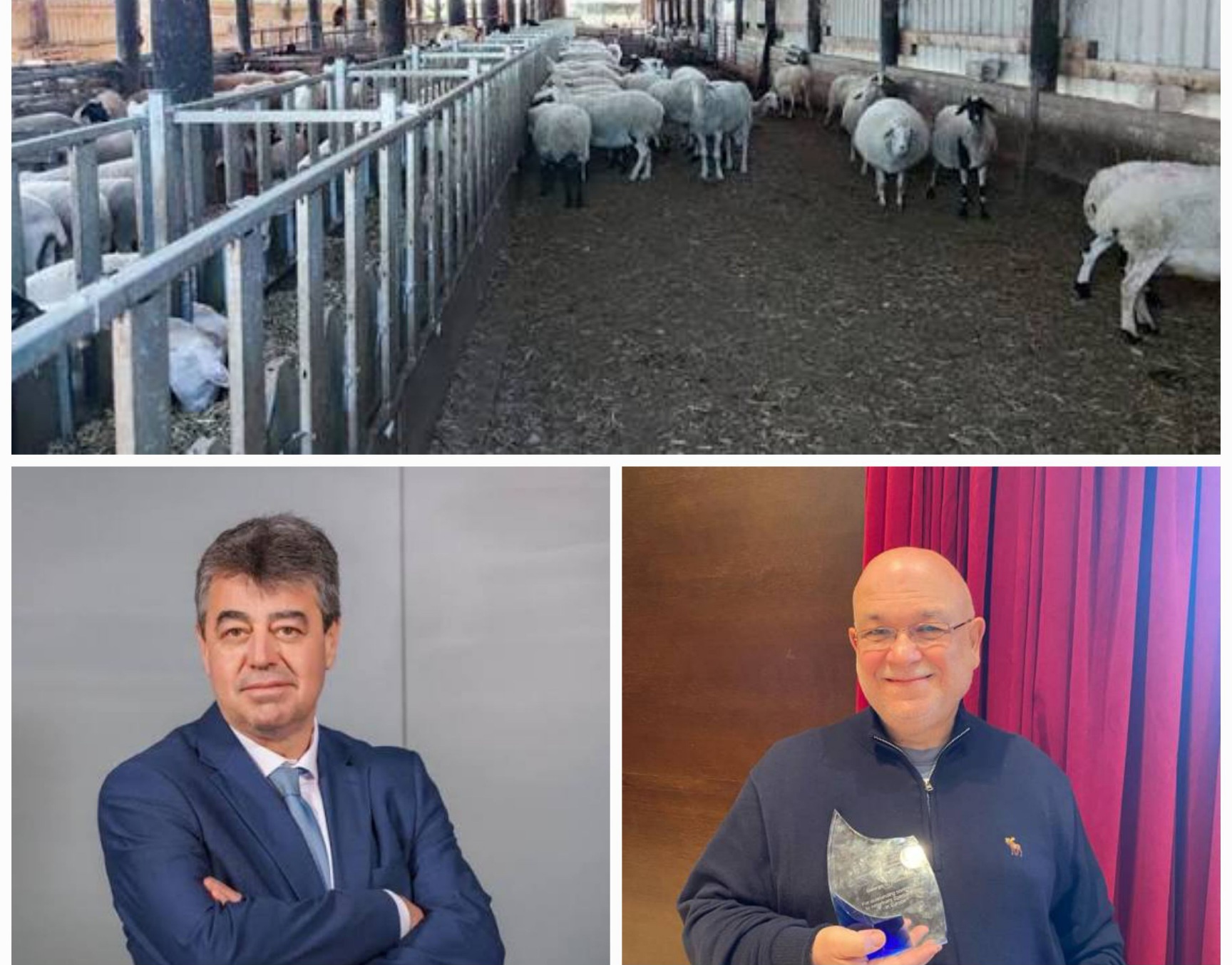 Επισημάνσεις καθηγητών του Τμήματος Κτηνιατρικής του Πανεπιστημίου Θεσσαλίας για την έξαρση της ευλογιάς των προβάτων