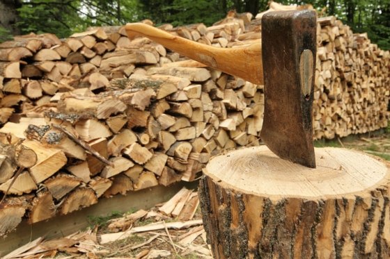 Θεσσαλονίκη: Έκοβαν ξύλα από το δάσος της Αρέθουσας και τα πωλούσαν