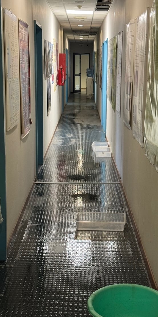 Κλείνει το κτίριο της Γεωπονικής με απόφαση πρύτανη λόγω ζημιών από την νεροποντή