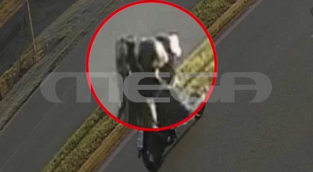 Επαγγελματικό το χτύπημα στο κάμπινγκ  Ντοκουμέντο από την άφιξη του δολοφόνου