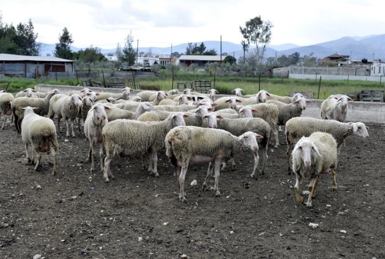 Ενα βήμα πίσω πηγαίνει το lockdown- Tο μπαλάκι στην ΕΛ.ΑΣ για αυστηρούς ελέγχους στην Περιφέρεια