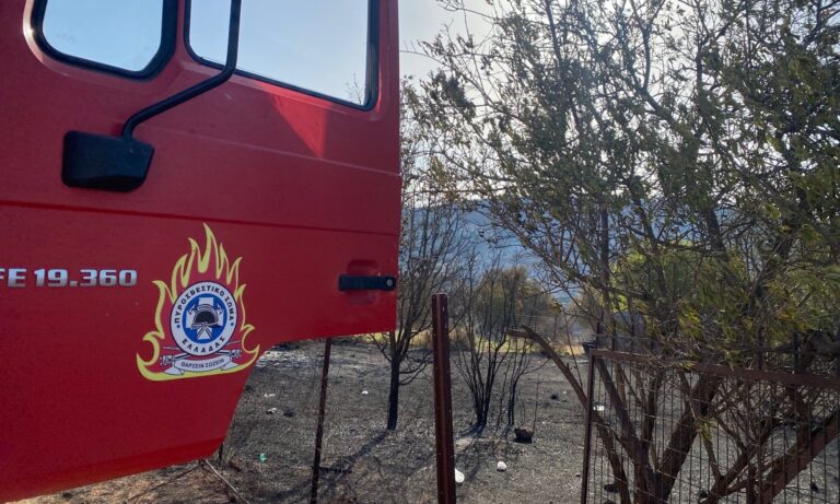 Υπό έλεγχο η πυρκαγιά στους Αγίους Θεοδώρους Μαγνησίας