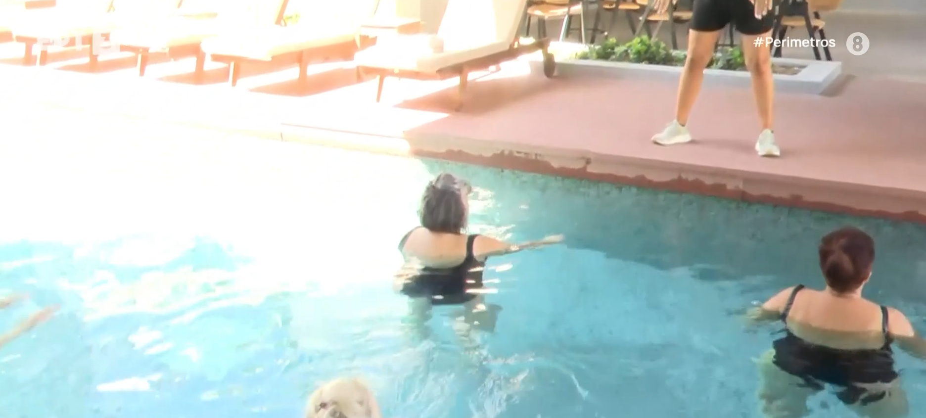 Aqua Fitness στον Βόλο: Η βραβευμένη άσκηση στο νερό με τα πολλαπλά οφέλη