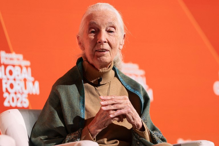 Πέθανε η Τζέιν Γκούντολ, ακτιβίστρια υπέρ της άγριας ζωής και ειδικός σε πρωτεύοντα θηλαστικά