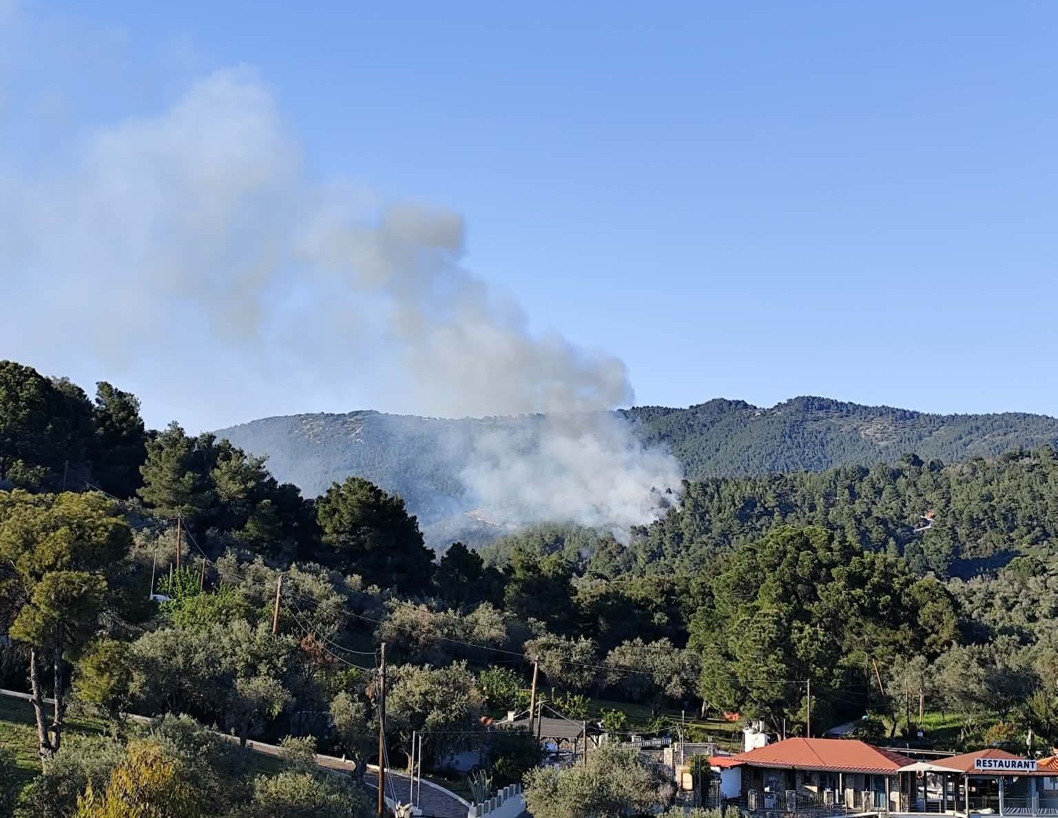 Φωτιά στη Σκιάθο Μεγάλη