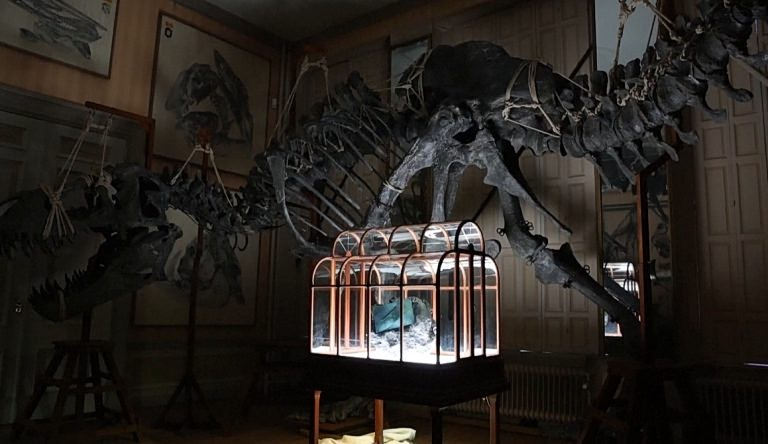 Τσάντα από καλλιεργημένο δέρμα τυραννόσαυρου βγαίνει σε δημοπρασία στο Άμστερνταμ