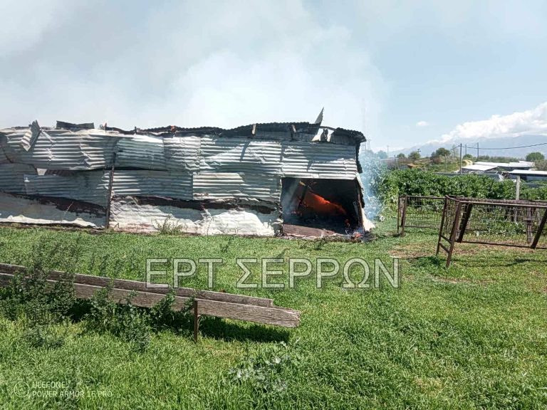 Σέρρες: Φωτιά σε