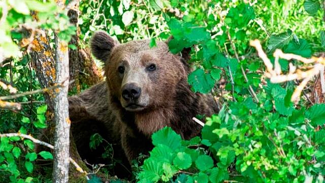 Θεσσαλονίκη: Ανησυχία από