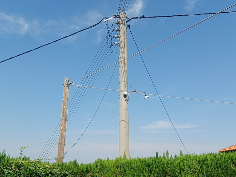 Έντεκα συλλήψεις για κλοπή