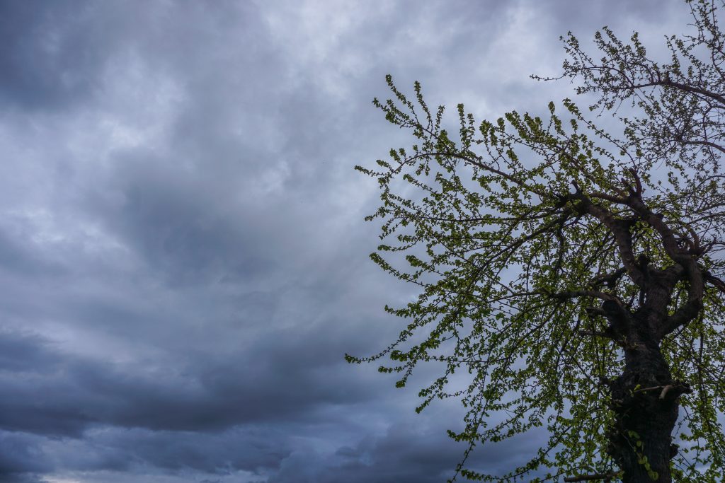 Σουηδία: Μόνο 30 λεπτά ήλιο