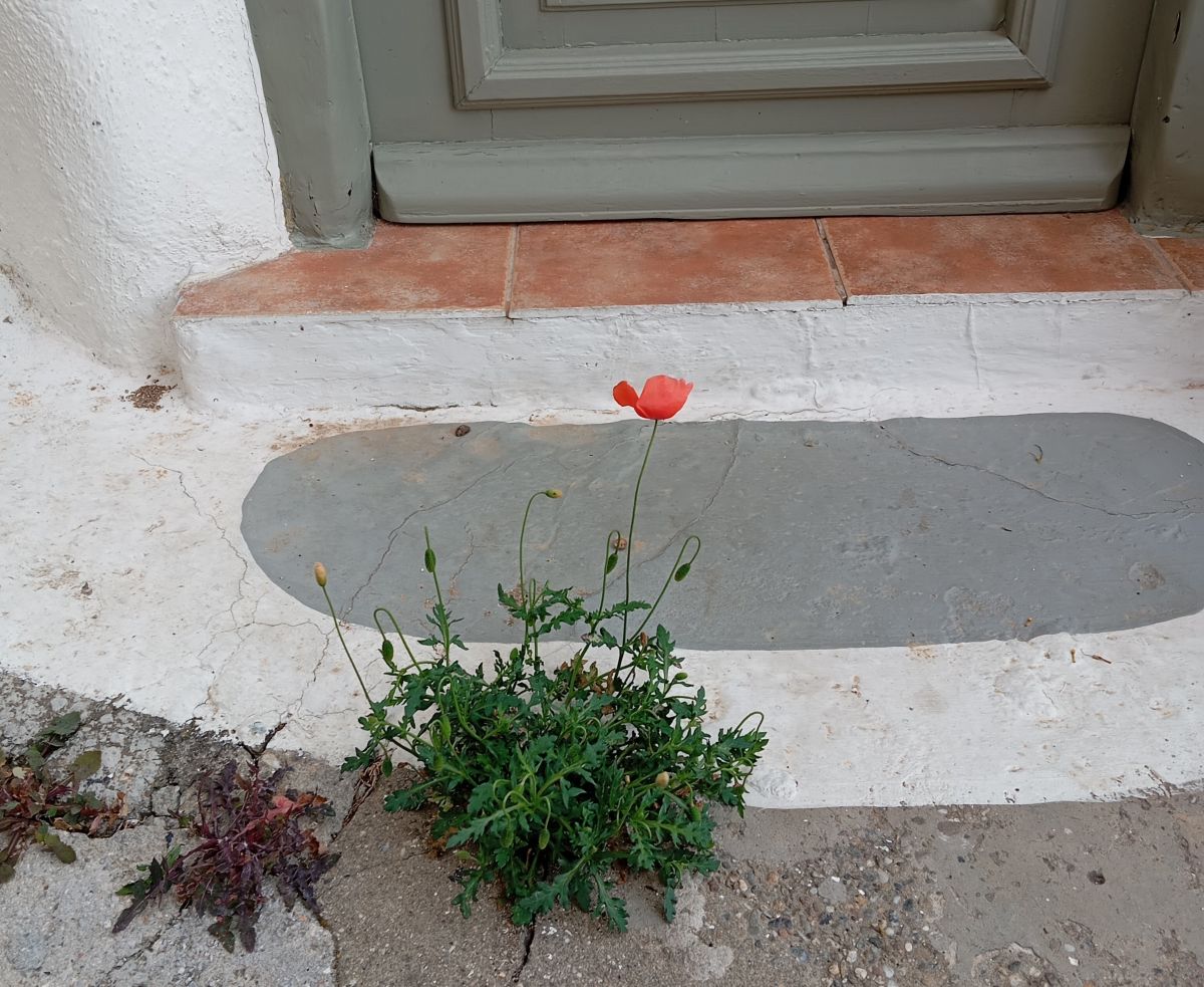 Η Volos Poetry Slam γιορτάζει την Παγκόσμια Ημέρα Ποίησης με βραδιά στο ξενοδοχείο Κυψέλη