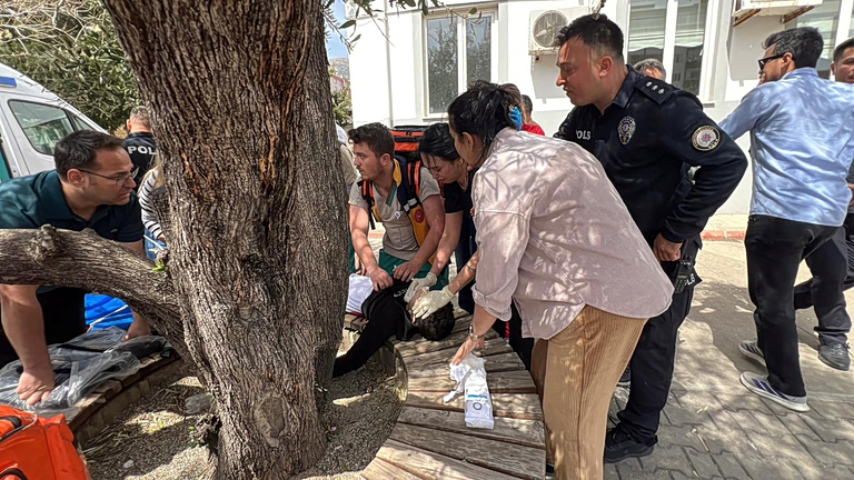 Τουρκία: Ζω γιατί η σφαίρα