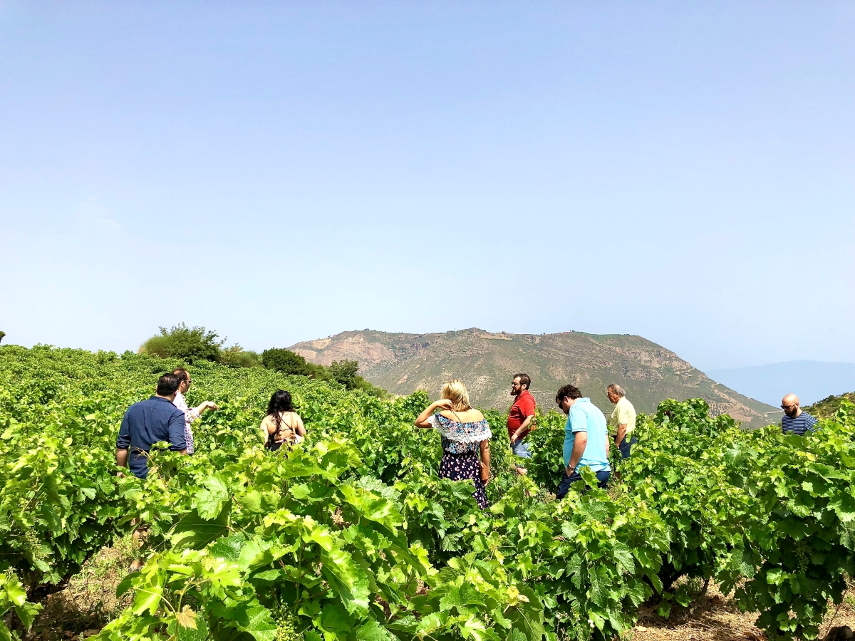 Λάρισα: Ξεκινά την Τρίτη η