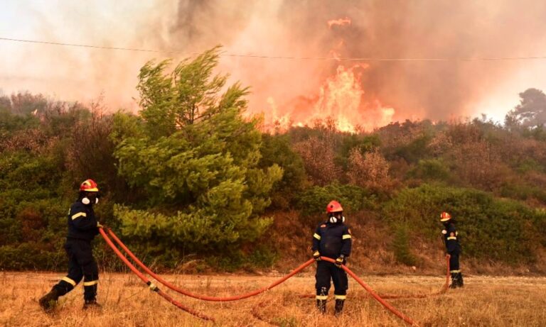 Φωτιά τώρα στην περιοχή Άγιοι Θεόδωροι Μαγνησίας