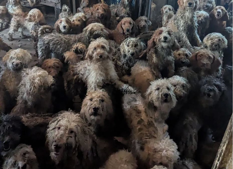 Βρετανία: Δεν είναι ΑΙ