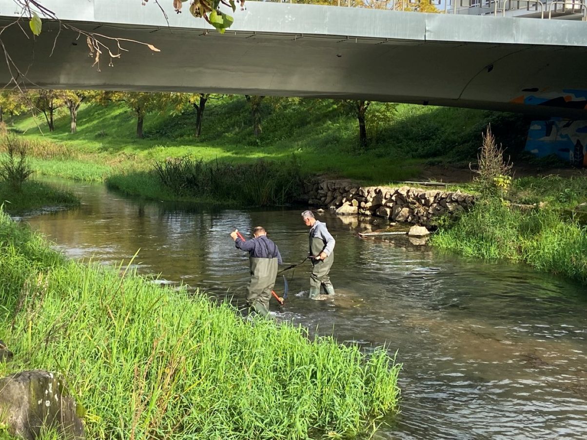 Τρίκαλα: Εργασίες