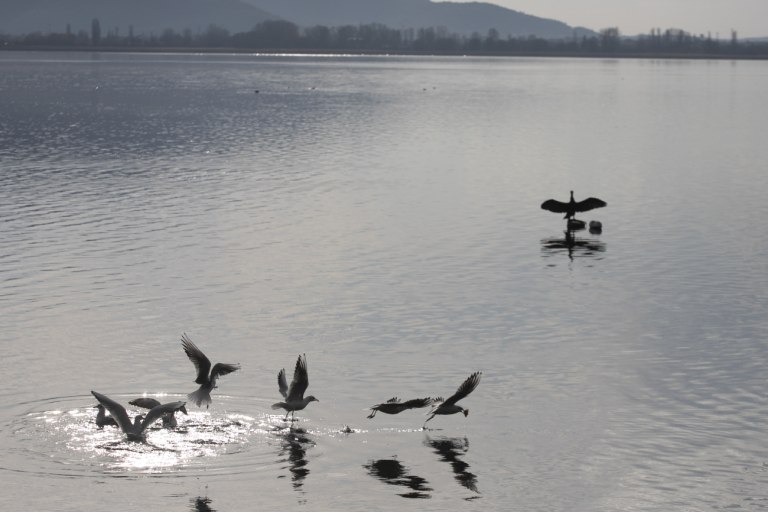 Καιρός: Γενικά αίθριος με θερμοκρασίες έως 32 βαθμούς  Σε ποιες περιοχές θα βρέξει