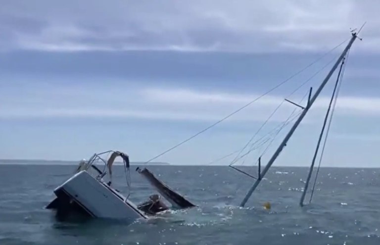 Πορτογαλία: Όρκες βύθισαν τουριστικό σκάφος  Η σοκαριστική στιγμή της επίθεσης [βίντεο]