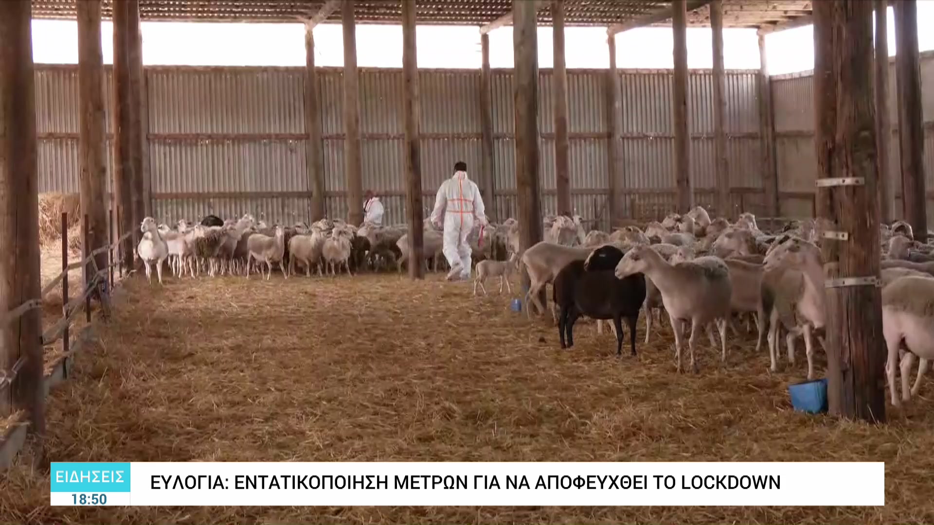 Σε εξέλιξη έρευνες εντοπισμού κτηνοτρόφου που αγνοείται από την οικογένειά του στον Βόλο